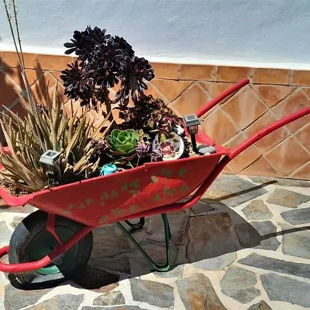 Bella Sirena Holiday home